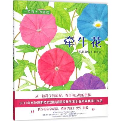 正版新书]牵牛花荒井真纪9787513319485