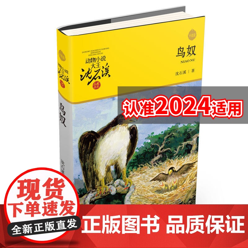 鸟奴动物小说大王沈石溪品藏书系 沈石溪动物小说 儿童文学书籍9-11-12-14岁 小学生三四五六年级课外书籍 青少年读
