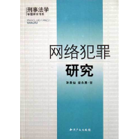 正版新书]网络犯罪研究孙景仙9787801984920