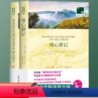 地心游记 [正版]全2册地心游记 英文原版原著+中文译本 中文英语双语版课外拓展名著阅读中英文对照书籍 地心游记中小学生