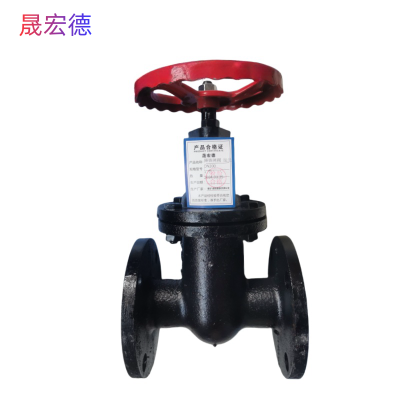 晟宏德 铸铁闸阀 法兰 DN200 个
