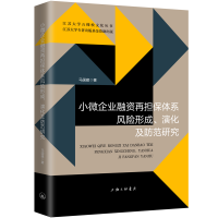 音像小微企业融资再担保体系风险形成、演化及防范研究马国建