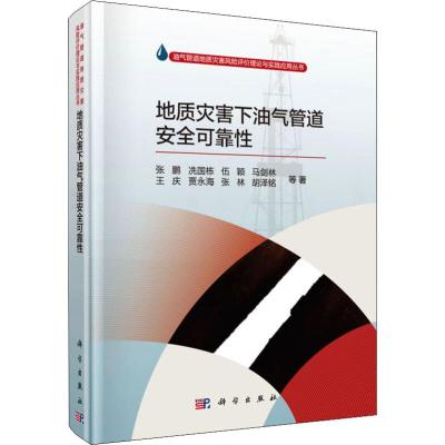 地质灾害下油气管道安全可靠性 张鹏 科学出版社