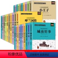 经典名著阅读全套(全30册) [正版]小学生阅读课外书籍全30册三四五年级必读的课外书四年级至六年级经典名著课外阅读书籍