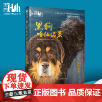 黑鹤动物文学精品系列:黑狗哈拉诺亥