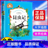 昆虫记 [正版] 昆虫记 儿童注音版 世界经典文学名著宝库 小学生 一二年级三年级必读课外阅读书籍 美绘版故事书 法布尔