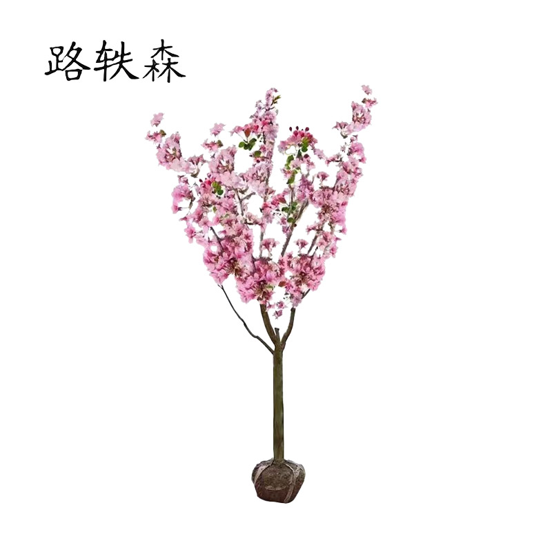 路轶森 海棠树 5公分 棵