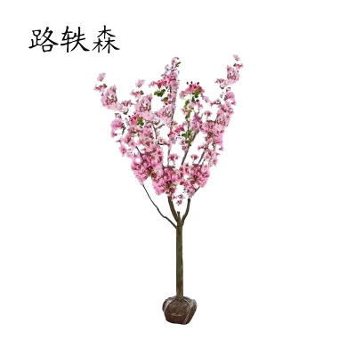 路轶森 海棠树 5公分 棵