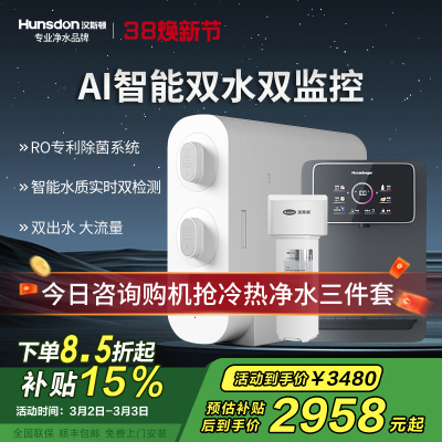 汉斯顿/Hunsdon净水器家用厨下式净水机家用直饮净水器C2净水器家用无桶双水大流量过滤器净水器