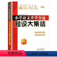 语文 小学升初中 [正版]新版小学语文升学夺冠知识大集结小升初知识大集结专项训练题总复习资料知识大全归纳六年级小学升初中