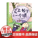正版童书 天上掉下一个球 睡前亲子故事 训练科学思维能力 3-6岁儿童绘维