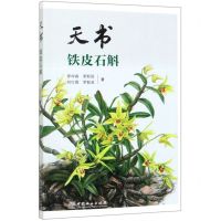 [N]天书铁皮石斛-9787503898723