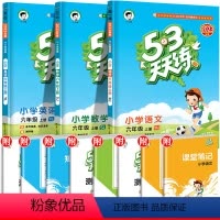 语+数+英(译林版) 二年级上 [正版]新53天天练二年级上册语文数学英语全套人教版北师大苏教版北京版上册小儿郎5.3测