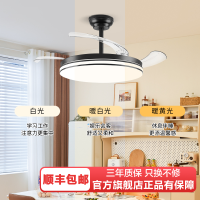 雷士照明风扇灯客厅餐厅卧室灯吊扇灯家用吊灯简约电扇灯