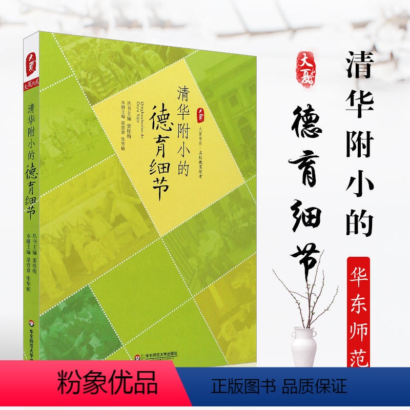 [正版] 清华附小的德育细节 大夏书系名家教育探索 窦桂梅著 教育智慧和艺术 华东师范大学出版社 教育案例集