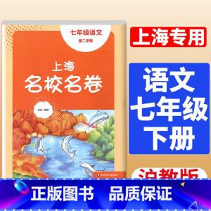7年级下 语文 大字版 初中通用 [正版]2024春季上海名校名卷六年级七八九上册下册数学语文英语物理化学沪教版华东师大