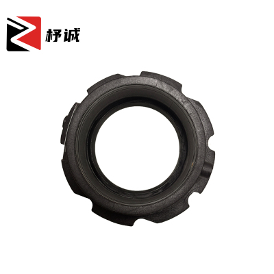 杼诚 PE电熔法兰1.6Mpa 110mm/个