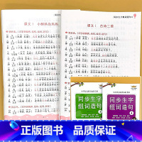 全2册-2年级上册+下册 同步生字组词造句 小学通用 [正版]小学生一二年级上下册全套同步生字组词造句阅读本语文词语句子
