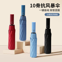 红叶全自动10骨双龙骨雨伞双人抗风商务伞黑胶防晒晴雨两用伞D2775