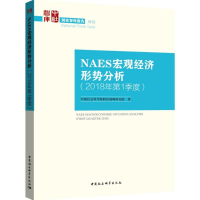 音像NAES宏观经济形势分析财经战略研究院 著