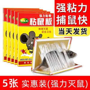 [补贴10%]5本强力粘鼠板 强力粘鼠板捉粘大老鼠沾胶抓灭鼠笼捕鼠夹神器正品家用一窝端