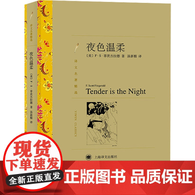 夜色温柔 F·S·菲茨杰拉德著 汤新楣译 译文名著精选 世界名著 美国文学小说 名著经典读物 正版