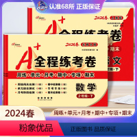 [正版]2本2024春新版 A+全程练考卷二年级下册语文人教版数学北师大版小学2年级试卷 周练+单元+月考+期中+专项