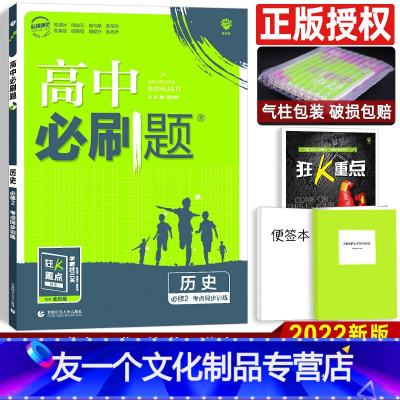 历史 [友一个正版]2022版高中历史必修二 考点同步训练 高一历史同步练习刷题分题型强化训练 高中习题练习册辅导书籍