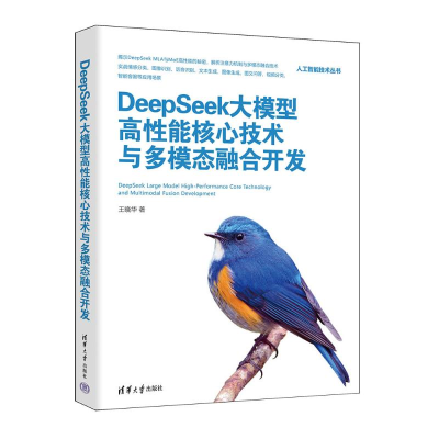 正版新书]DeepSeek大模型高性能核心技术与多模态融合开发王晓华