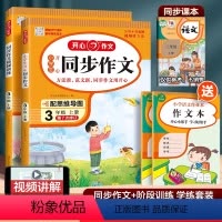 同步作文+阶梯训练(2本) 二年级下 [正版]2024新版同步作文阶梯训练一二年级四五六三年级上册人教版小学生同步作文五