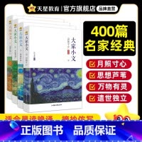 全套4本 初中通用 [正版]2024新版疯狂阅读大家小文月照寸心/思想芦苇/万物有灵/遗世独立散文素材名人名言大全初中生