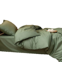 成龙CLSJ005 值班被芯+褥子+枕套三件套 (计价单位:套) 绿色