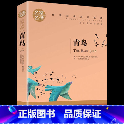 [正版]青鸟书 能打动孩子心灵的世界经典童话7-9-10-12-15岁儿童文学三四五六年级小学生课外阅读物故事书老师童