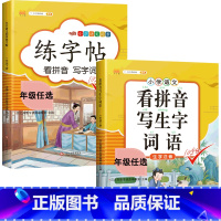 练字帖+看拼音写词语 六年级下 [正版]六年级下册字帖练字同步人教版语文练字帖小学生6年级拼音笔画笔顺偏旁部首临摹钢笔田