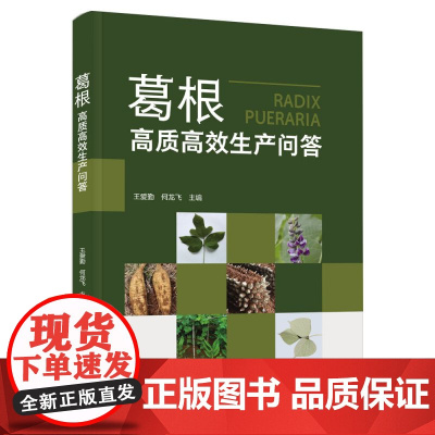 葛根高质高效生产问答