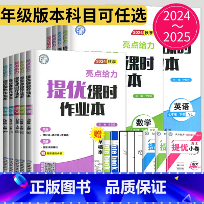语文 九年级上 [正版]2024亮点给力提优课时作业本七年级上册八年级九年级下册数学语文英语物理化学九下苏教版苏科版江苏