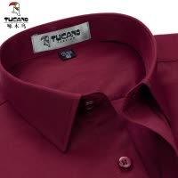 啄木鸟春季大码衬衫男长袖商务休闲酒红色本命年加大加肥中年衬衣