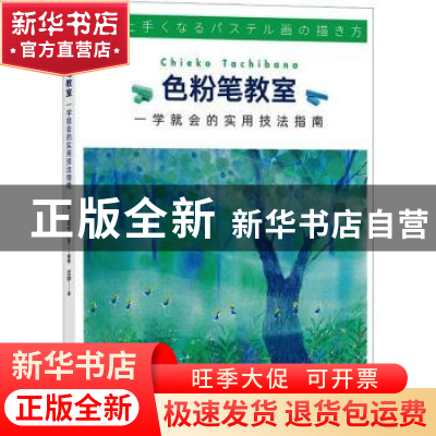 正版 色粉笔教室:一学就会的实用技法指南 (日)立花千荣子编著
