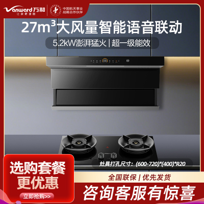 万和(Vanward)27m³顶侧双吸烟机WL970pro+JZT-01-G60 5.2KW燃气灶天然气灶具家用烟灶套装