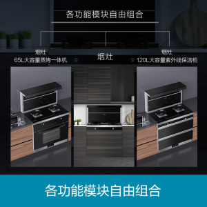 右排烟组合灶套餐（天然气ZH02R+保洁柜）
