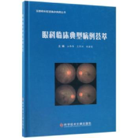 音像眼科临床典型病例荟萃王伟伟,王怀洲,刘建荣主编