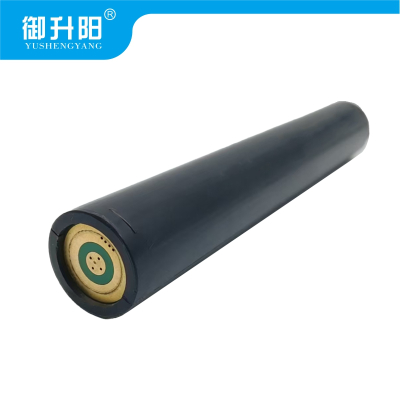 御升阳 手电筒电池 SY21 块