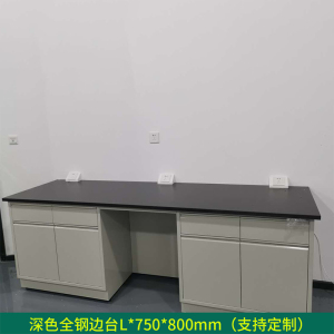 帅畅全钢实验台钢木PP边台柜试验台化验室工作台实验室桌操作台定制(每米单价)[工厂现做 7天内发货]