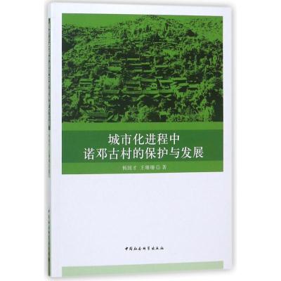 正版新书]城市化进程中诺邓古村的保护与发展杨国才978752031728