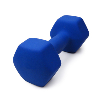 元达福 浸塑哑铃 YDF-0816 3kg*2 (单位:对)