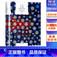 [正版]白夜 (俄罗斯)陀思妥耶夫斯基 书籍小说书 书店 上海译文出版社