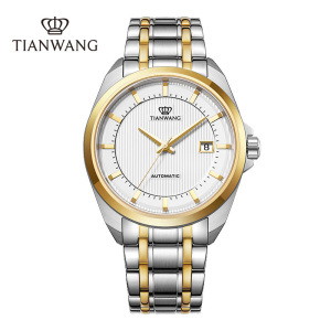 天王表(TIAN WANG)机械男表时尚商务钢带机械表男士手表GS5825