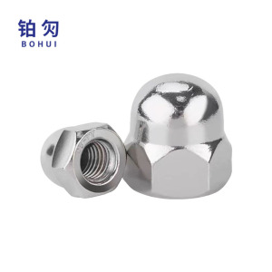 铂灳 盖形螺母 M16mm (t21) 个