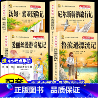 [六下4本]鲁滨逊+爱丽丝漫游+骑鹅+汤姆+赠考点4本 [正版]鲁滨逊漂流记六年级下册必读的课外书快乐读书吧尼尔斯骑鹅旅