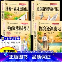 [六下4本]鲁滨逊+爱丽丝漫游+骑鹅+汤姆+赠考点4本 [正版]鲁滨逊漂流记六年级下册必读的课外书快乐读书吧尼尔斯骑鹅旅